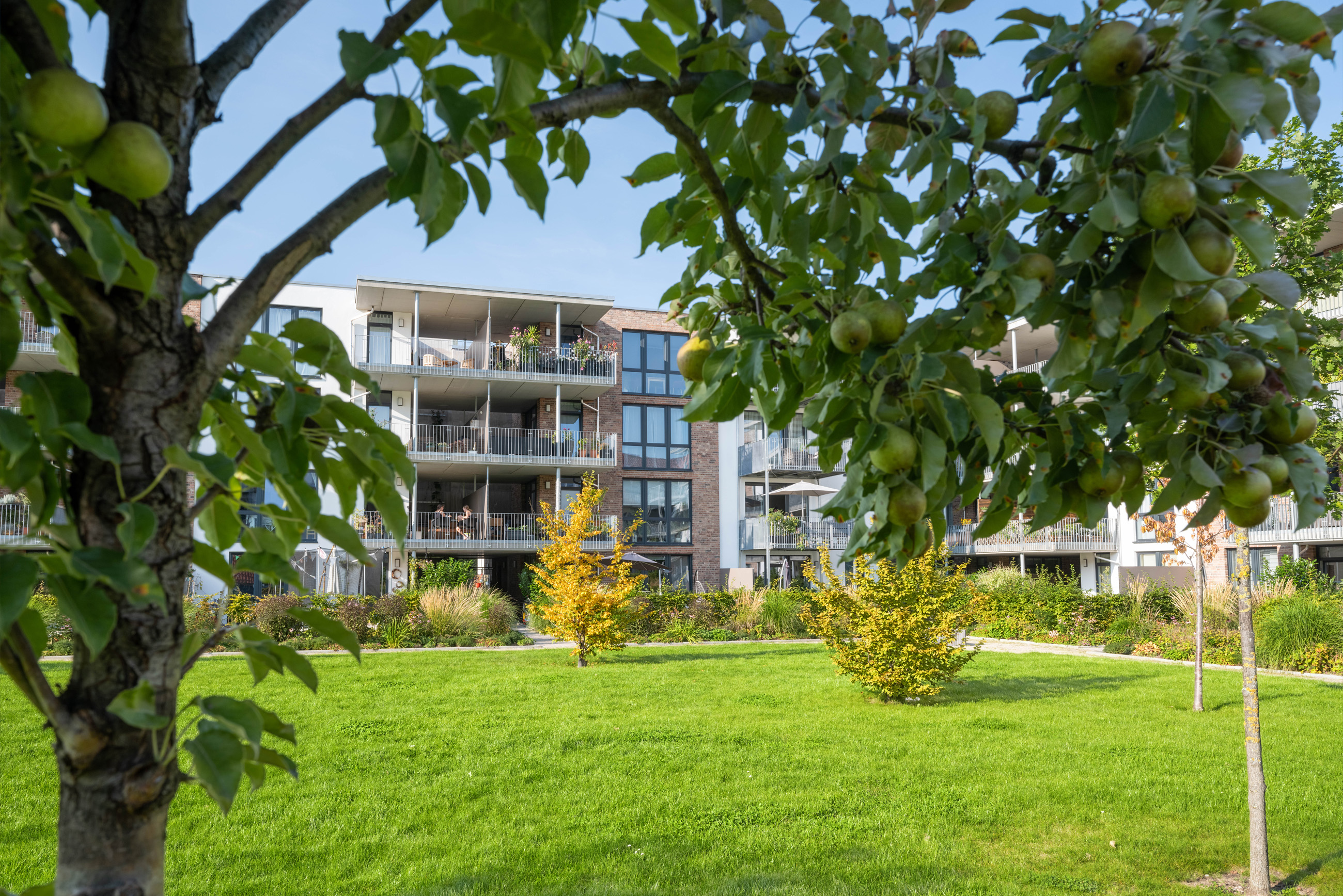 Wohnen im Park